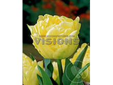 �������� �������� ������ ���-��� 118,3 ���. ��. (� �������� 7 ��.). ������ �� 45 ��. ������� ������ �� 10 ��..jpg