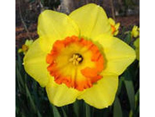 ���-����� ��������� ���-��� 60 ���. ��. (� �������� 3 ��.). ������ �� 40 ��. ������� ������� �� 10 ��.!!!!!!!!!!!!!! �������� .jpg