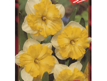 ���-����� ����������� ���-���� (����� ����� ������) 87 ���. ��. (� �������� 3 ��.). ������ �� 40 ��. ������� ������� �� 10 ��.!!!!!!!!!!!!!! ��������.png