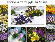 � ������� 2.JPG