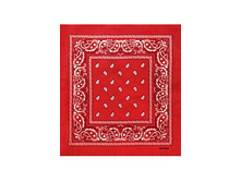 60 ���. - Paisley Cotton 55�55 ��