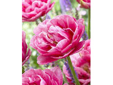 �������� �������� ������ ��-����� 118,3 ���. ��. (� �������� 7 ��.). ������ �� 40 ��. ������� ������ �� 12 ��..jpg