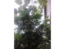 2016-05-26 18.41.03.jpg