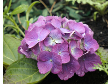 ��������� � � ������