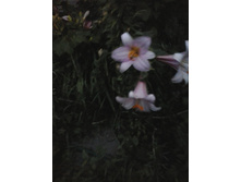 2016-07-18 21.01.02.jpg