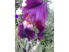 2017-06-16 19.06.39.jpg