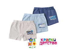 �������, �������: BAYKAR 3136,  100 ���