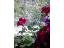 2016-06-02 14.03.09.jpg