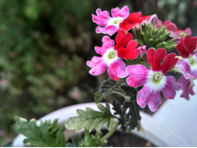 �������