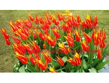 �������� ������������ ��-�� ��-�� ���. ����3.jpg