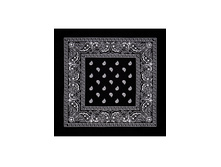 45 ���. - Paisley Acrylic 55�55 ��