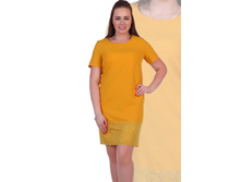 ������ ���������