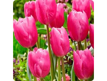 ������� ����� ������ ���-��� ��-�� 97,3 ���. ��. (� �������� 7 ��.). ������ �� 45 ��. ������� ������ �� 12 ��..jpg