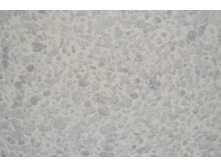 Silk Plaster Relief 330.JPG