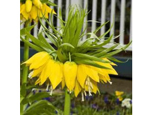 ���-���-����� – ���-��� ��-����-������� ��-��� 124 ���. ��. (� �������� 1 ��.). ������ �� 100 ��. ������� ������� �� 18 ��.!!!!!!!!!!! ����� ������� ������.jpg