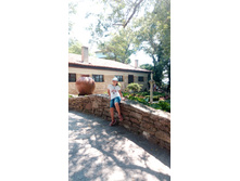 IMG 20170709 121929.jpg