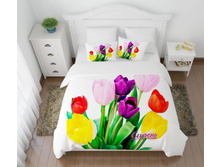 ���\�������: 08497 ���������� ����� "�������� �����"