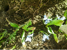 2016-03-29 15.12.08.jpg