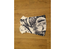 300 � 98 �����������