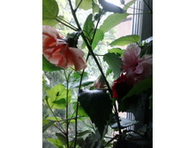 2016-06-06 12.33.53.jpg