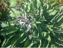 20106489 1988377894521107 8721268560203854369 n.jpg