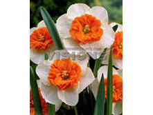 ���-����� ����������� ��-��� ��-��� (����� ����� ������) 58,5 ���. ��. (� �������� 3 ��.). ������ �� 32 ��. ������� ������� �� 10 ��.!!!!!!!!!!!!!! ��������.jpg