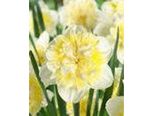 ���-���� ���-����� ��-� ��-�� 47,7 ���. ��. (� �������� 3 ��.). ������ �� 40 ��. ������� ������ �� 9 ��.!!!!!!!!!!!!!! ��������.jpg