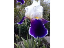 2017-06-16 19.06.13.jpg