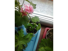 2015-10-18 13.07.03.jpg