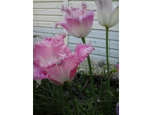 2017-05-22 18.05.48.jpg