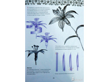 ������. ������� ��������.1.jpg