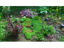 P 20170702 143438.jpg