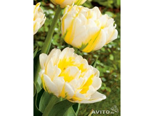 �������� �������� ������� ����-��� ��-��� 160,3 ���. ��. (� �������� 7 ��.). ������ �� 50 ��. ������� ������ �� 10 ��..jpg