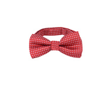 125 ���. - ����� �����