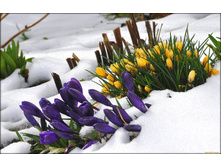 ������� ���2.jpg