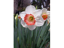 ���-����� ��������� ��-�� ��-�� 57 ���. ��. (� �������� 3 ��.). ������ �� 40 ��. ������� ������� �� 10 ��.!!!!!!!!!!!!!! ��������.jpg