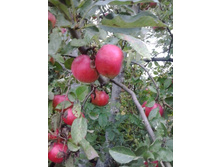 2016-09-21 16.23.32.jpg