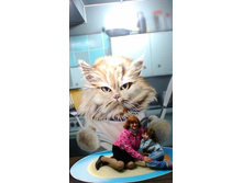 P 20170520 154455.jpg