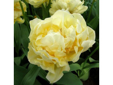 �������� �������� ������ ���-��� ���. ����2.jpg