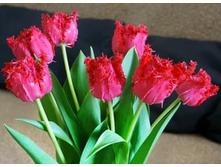 �������� ����������� ���-����� ���. ����3.jpg