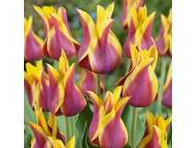 �������� ������������ ��-���� ���. ����2.jpg