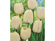 �������� ��������� ������� ���-��� ���-������ ��� ���-�� ��� ��-��� 125,3 ���. ��. (� �������� 7 ��.). ������ �� 70 ��. ������� ������ �� 12 ��. .jpg