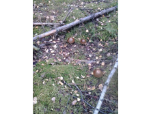 2016-09-28 08.37.44.jpg