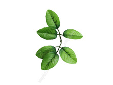 ������ ������������ (SF-157) ������� 2,3 �.