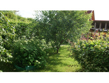 DSC07767 �� ����.jpg