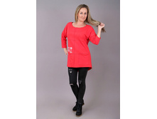 �0038, 420���, 42-52��.