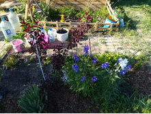 IMG 20170718 173008.jpg