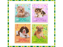 ������� 48 ������ ������ "����� �������" (1+1) �������: ��1108603