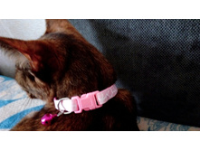 ������� ��� ����� ��� ��������� ������