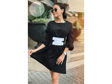 Plate-4576. 1023���